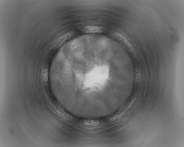 X0000111680549200908071427