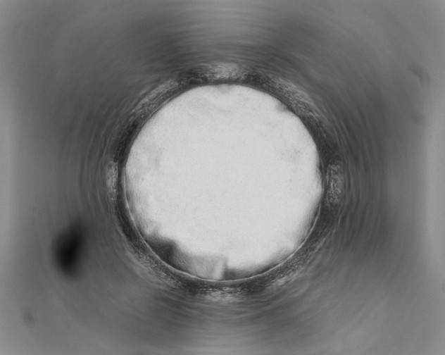 X0000111680550200908071427