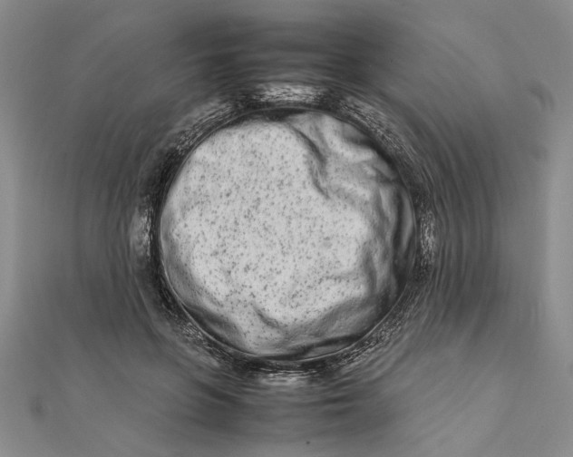 X0000111680551200908071427