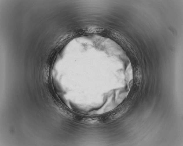 X0000111680554200908071427