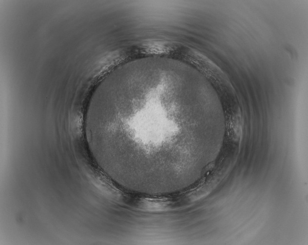 X0000111680556200908071427