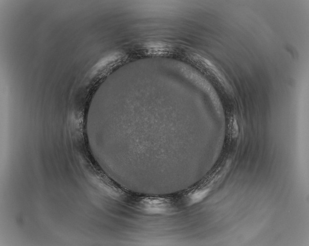 X0000111680557200908071427