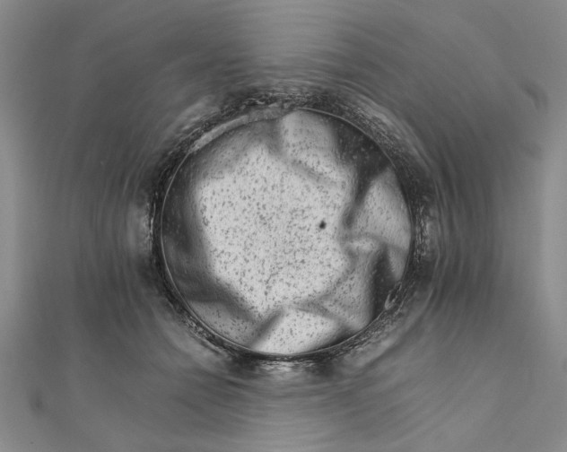 X0000111680558200908071427