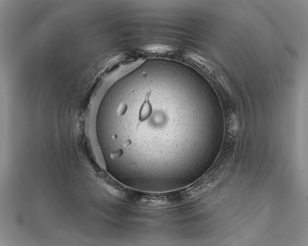 X0000111680559200908071427