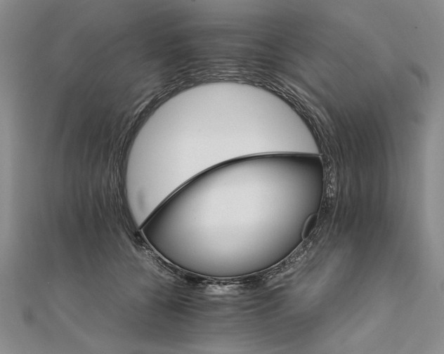 X0000111680560200908071427