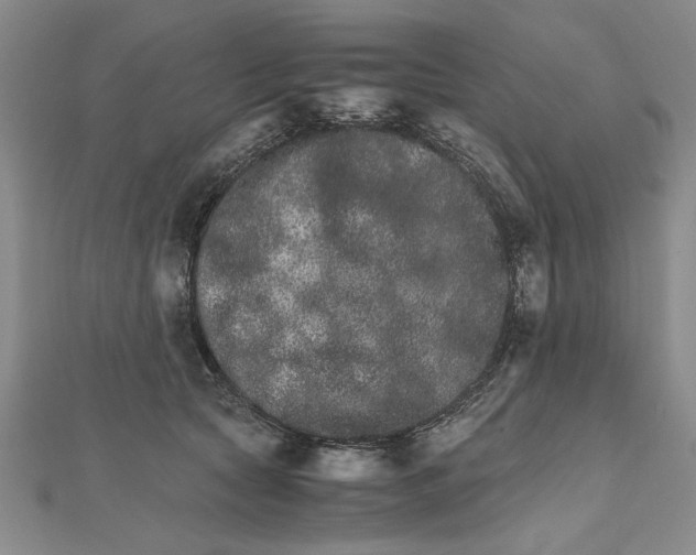 X0000111680561200908071427