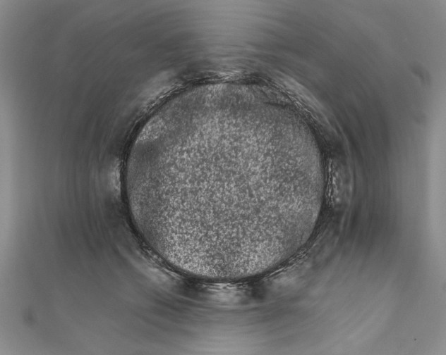 X0000111680562200908071427