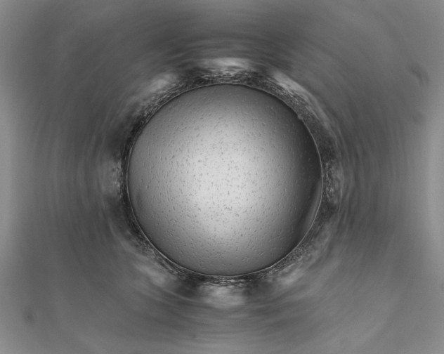 X0000111680563200908071427