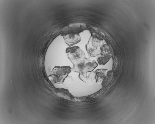 X0000111680565200908071427