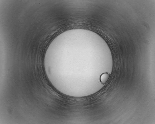 X0000111680566200908071427