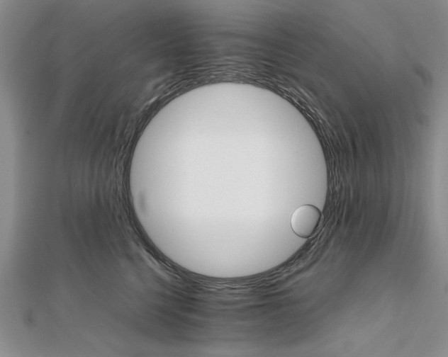 X0000111680568200908071427