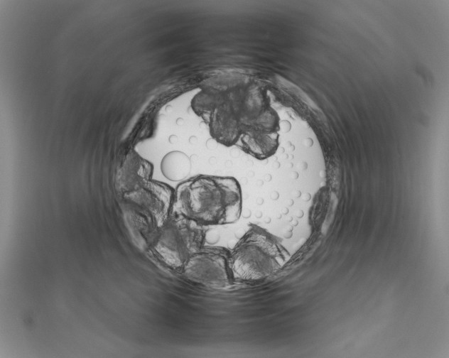 X0000111680569200908071427