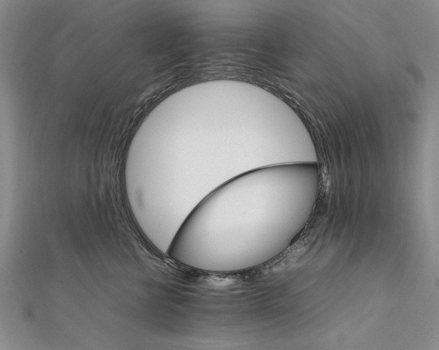 X0000111680570200908071427