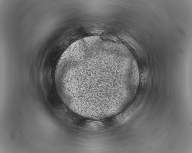 X0000111680572200908071427