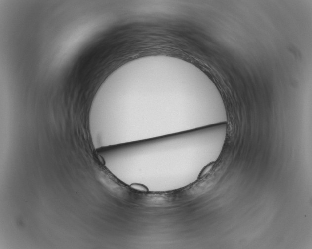 X0000111680574200908071427