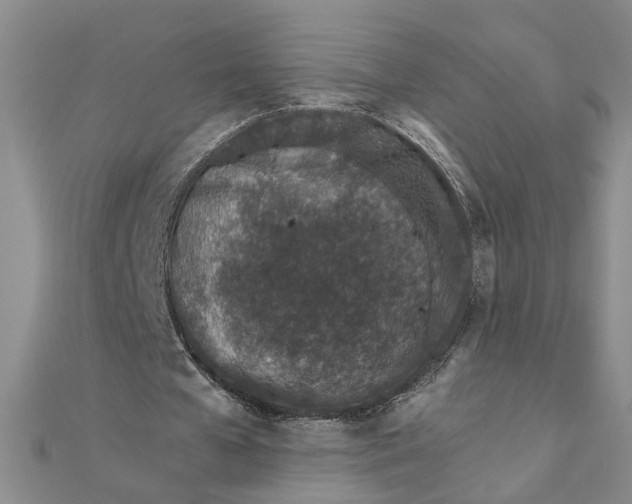 X0000111680577200908071426