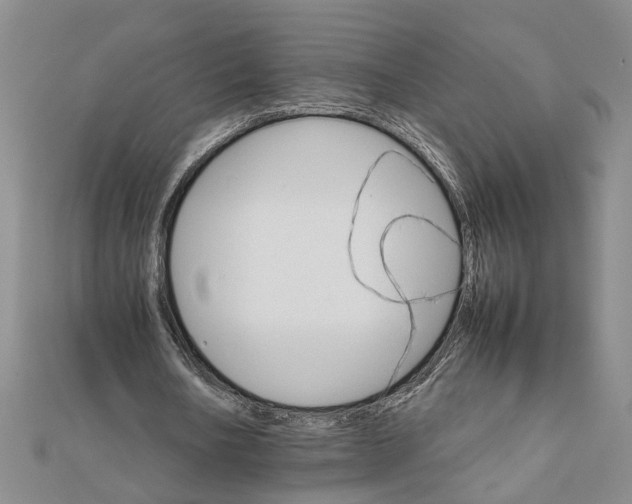 X0000111680578200908071426