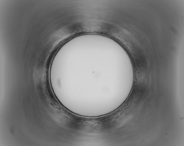 X0000111680583200908071426