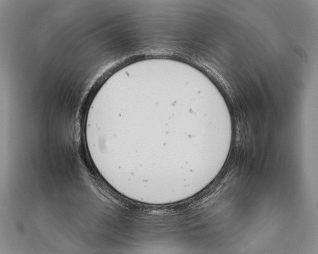 X0000111680584200908071426