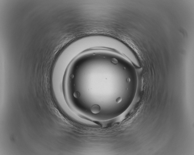 X0000111680585200908071426