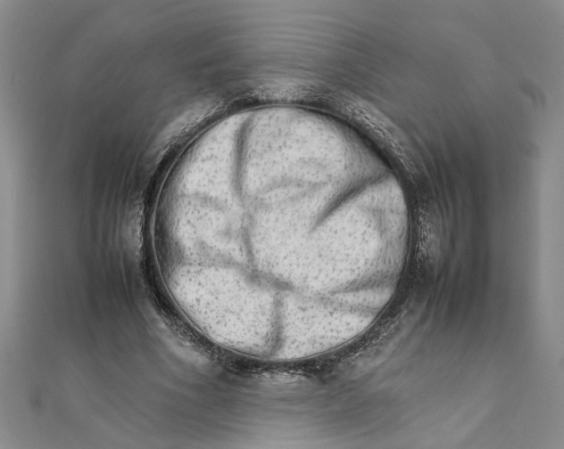 X0000111680586200908071426