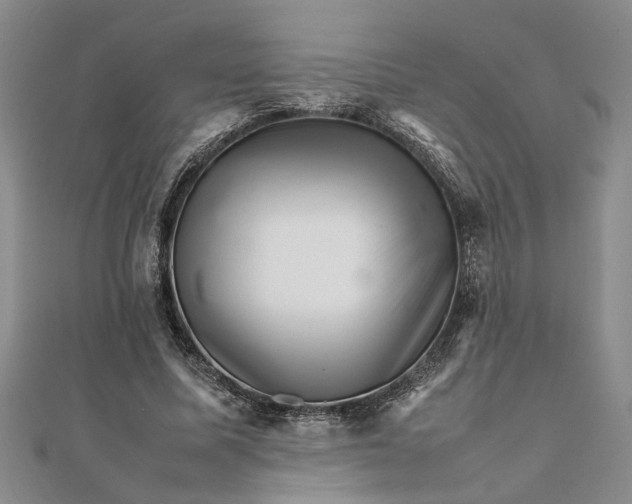 X0000111680587200908071426