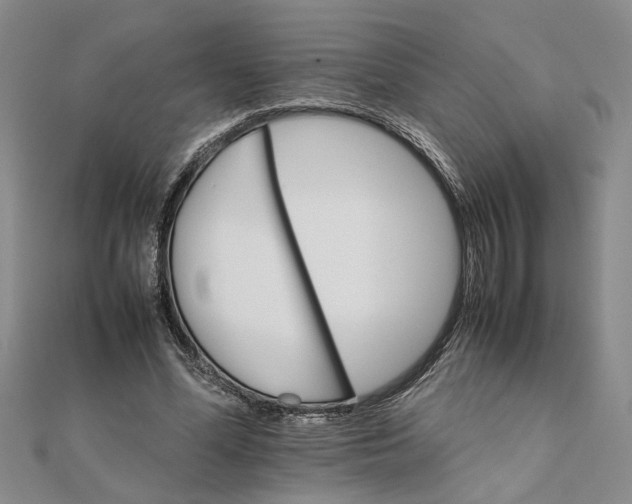 X0000111680588200908071426