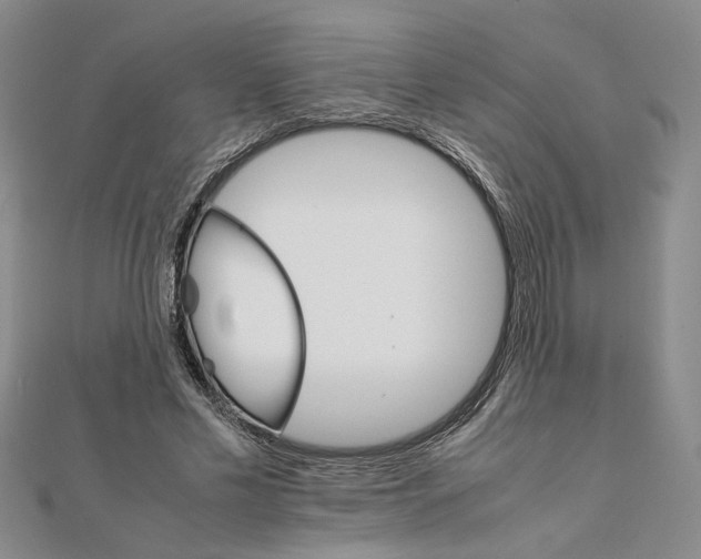 X0000111680589200908071426