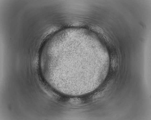 X0000111680591200908071426