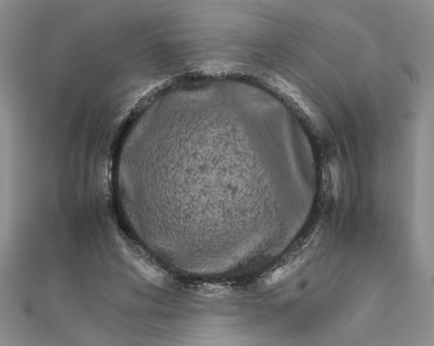 X0000111680592200908071426