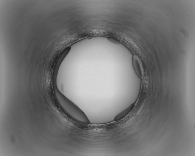 X0000111680593200908071426