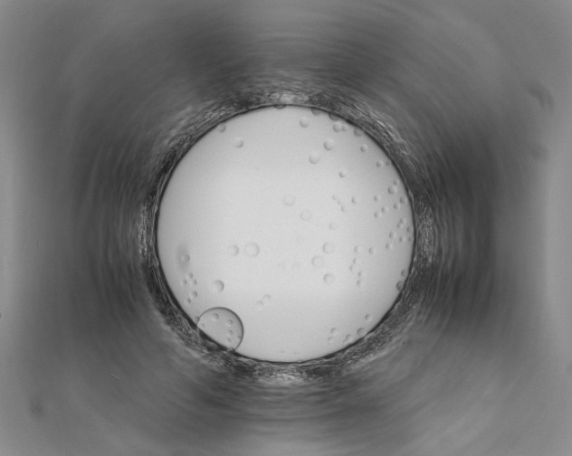 X0000111680594200908071426