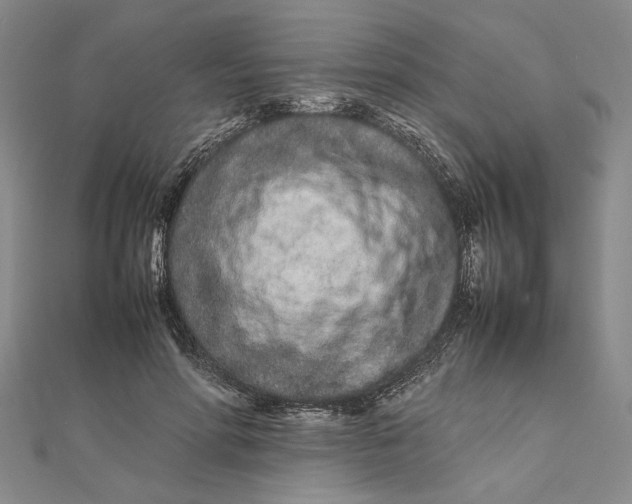 X0000111680598200908071426