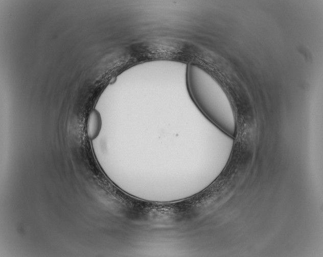 X0000111680599200908071426