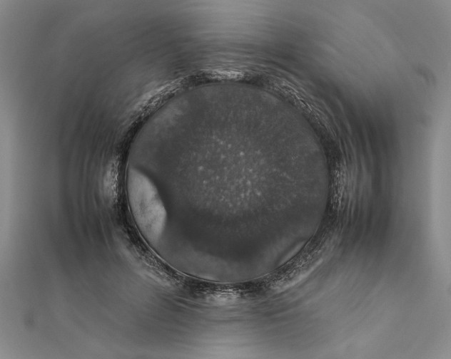 X0000111680600200908071426