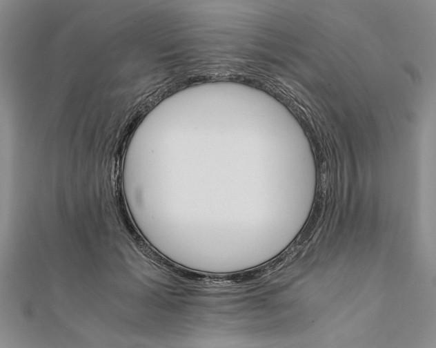 X0000111680605200908071426