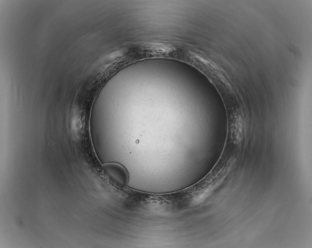 X0000111680608200908071426