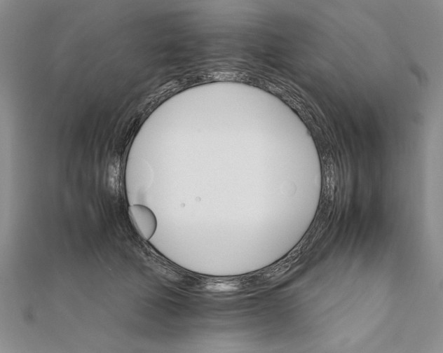 X0000111680610200908071426