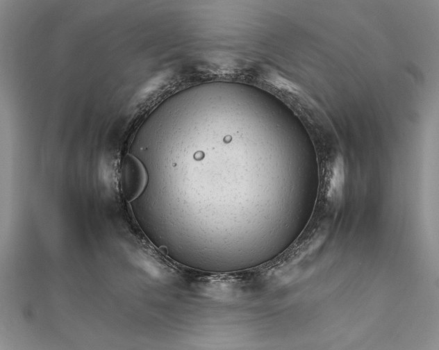 X0000111680612200908071426