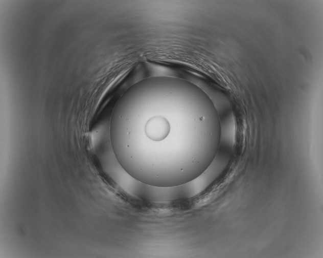 X0000111680613200908071426