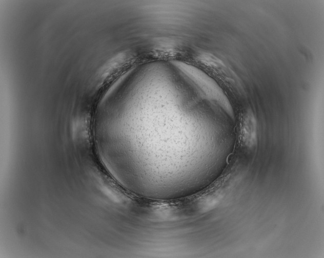 X0000111680616200908071426