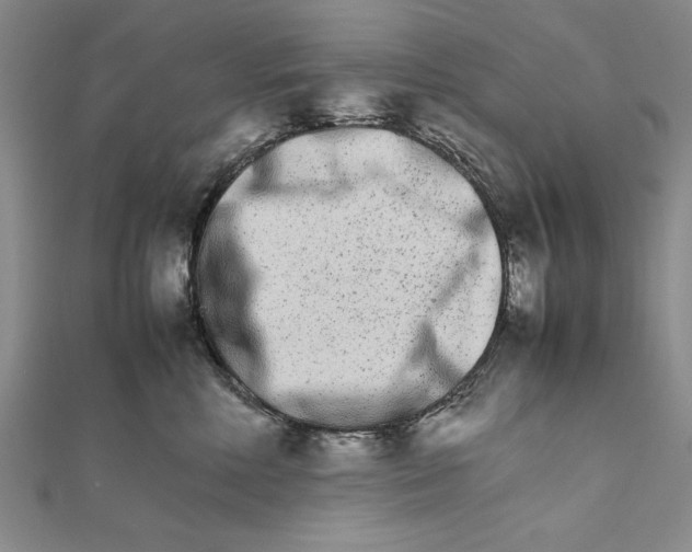 X0000111680618200908071426