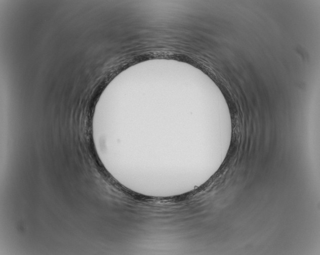 X0000111680619200908071426