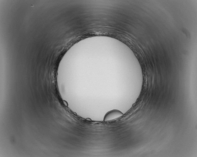 X0000111680620200908071426