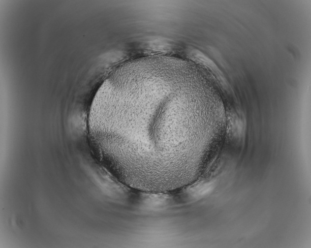 X0000111680621200908071426