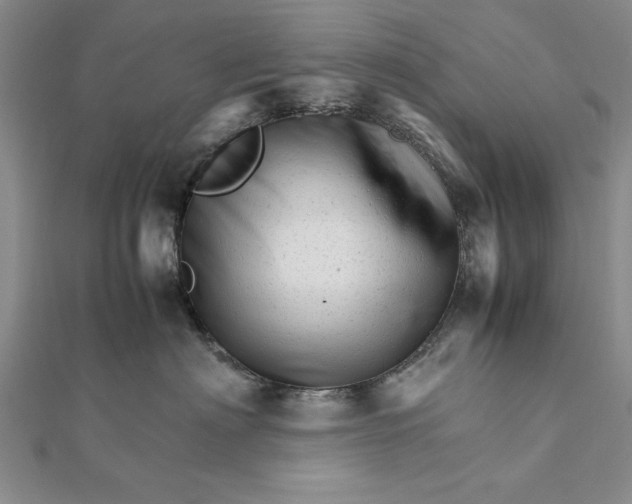 X0000111680622200908071426