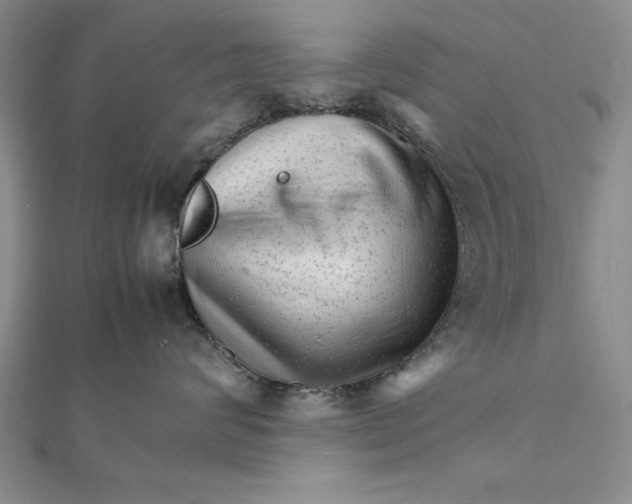 X0000111680624200908071426