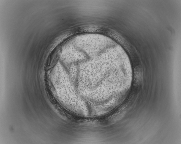 X0000111680626200908071425