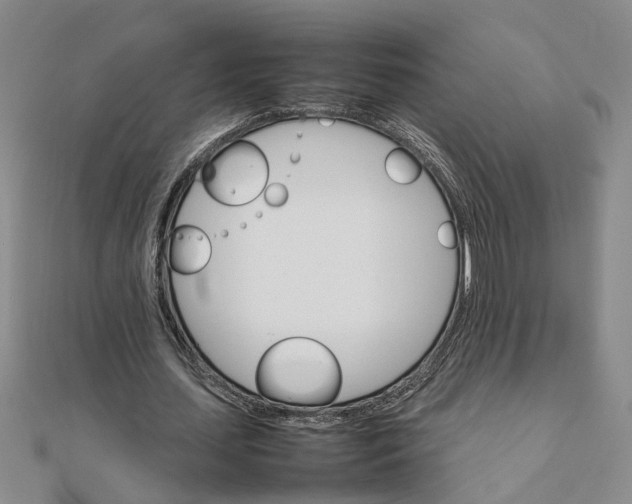 X0000111680627200908071425