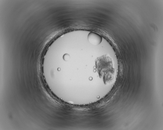 X0000111680629200908071425